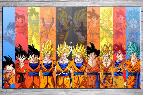 Cuadros Modernos Dragon Ball Evolucion Goku Vegeta 40x57 Cm