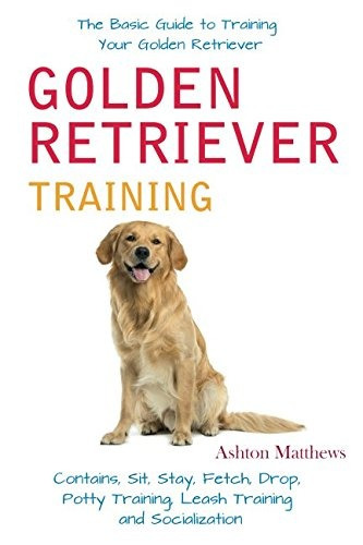 Golden Retriever Training The Basic Guide To Training Your G