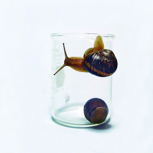 Imagen 6 de 9 de Bálsamo Antiestrías Baba De Caracol Politécnico Heliderm