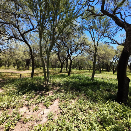 Terrenos En Traslasierra