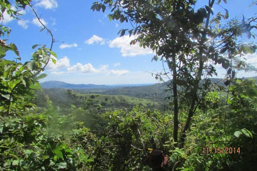 Imagen 14 de 14 de Venta De Finca De 9.6 Has En El Rincón De Bejuco 20-5799