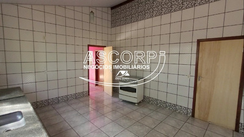 Imagem 10 de 19 de Sítio/pousada Em Anhembi - Piracicaba Sp(código St00003) - St00003 - 71022310