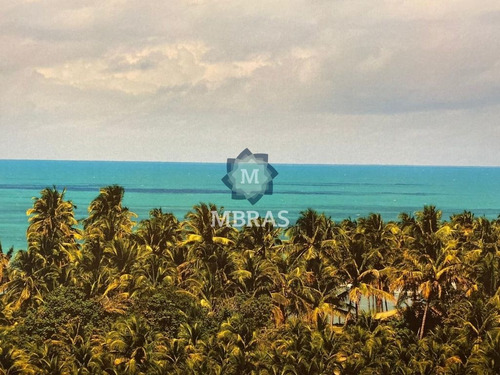 Imagem 6 de 15 de Linda Fazenda Em Um Paraíso Particular No Sul Da Bahia - Mb9102
