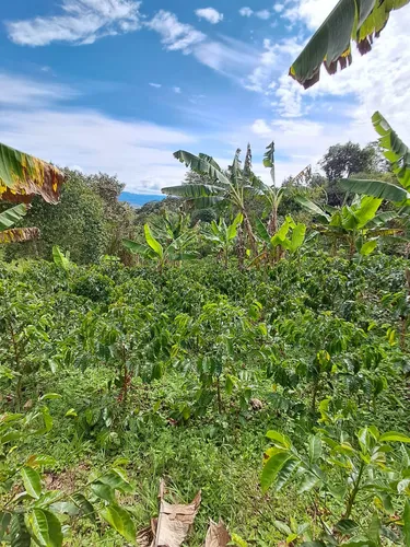 Finca En Restrepo Valle