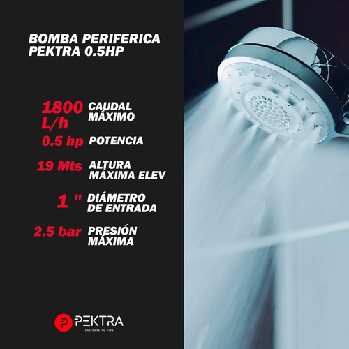 Imagen 3 de 8 de Bomba Periferica 0.5 1/2hp Elevadora Agua Bronce Coutas