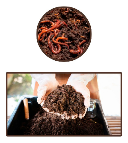 Humus De Lombriz - Saco De 25 Kg / Para Plantas Saludables