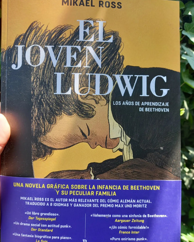 Novela Gráfica Infancia De Ludwig Van Beethoven,200 Pág 2022