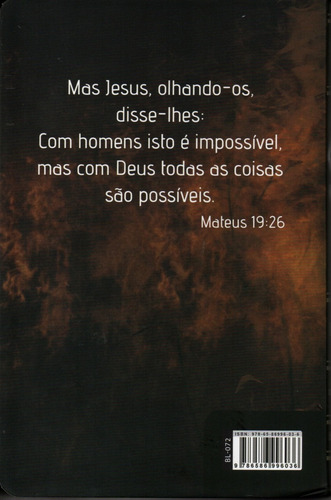King James 1611 Com Concordancia Semi Luxo Leao