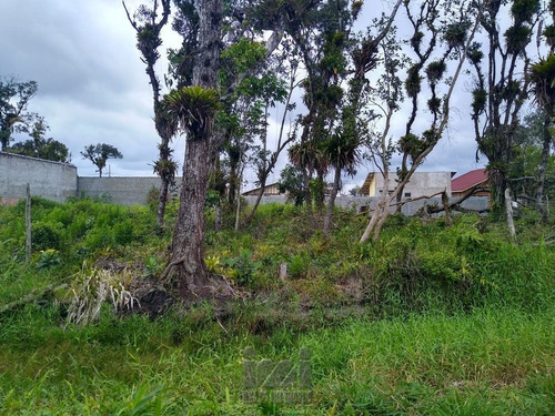 Imagem 1 de 4 de Terreno 360 M² No Balneário Guacyara - 407mt-1