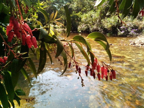 Chácara Auto-sustentável Com Vista Para A Serra Dos Pireneus