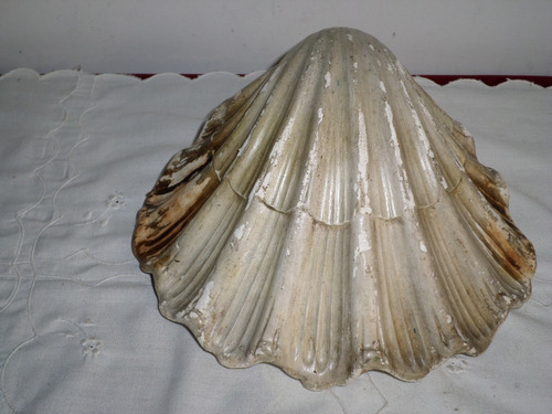 Muy Antigua Concha Shell Luminaria Pasta Decoración Vintage