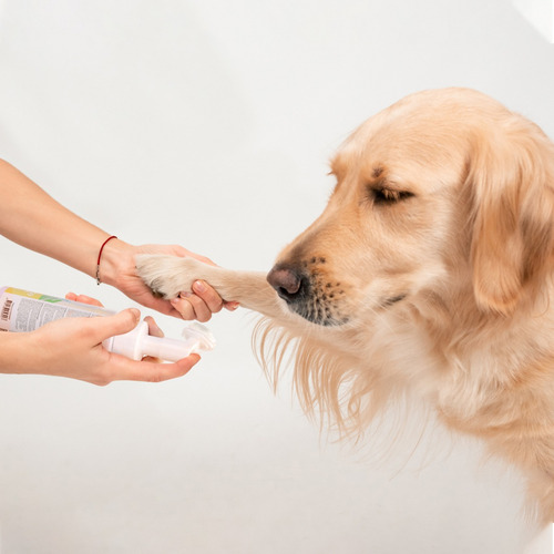 Shampoo Limpiador de Patas Perros y Gatos. Cepillo Integrado