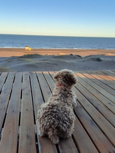 Imagen 14 de 27 de Casa Frente Al Mar!! Sauce Grande Monte Hermoso