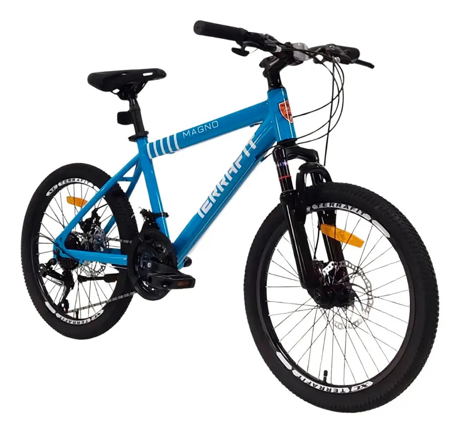 Bicicleta De Montaña Para Niño Rodada 20 Infantil Terrafit Color Azul