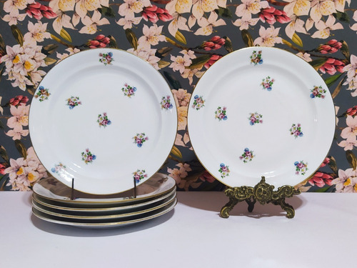 Juego De 6 Platos Para Postre De Porcelana Limoges C