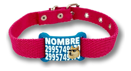 Collar Con Nombre Para Perro Talle 5 (33cm-43cm) + Chapita 