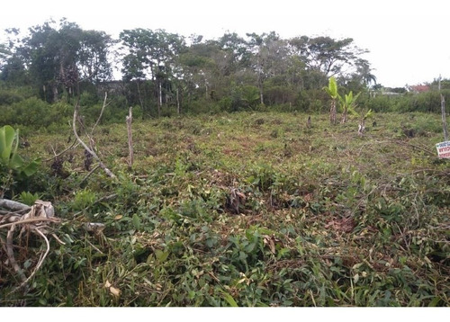 Imagem 3 de 9 de Terreno Na Praia 700m Da Rodovia Com 275m² 6767