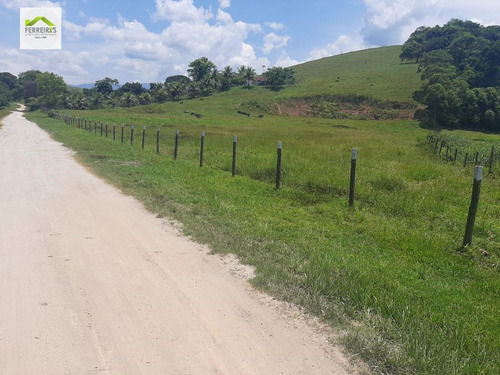 Imagem 4 de 30 de Sítio A Venda No Bairro Parque Capivari Em Duque De Caxias - 834-1
