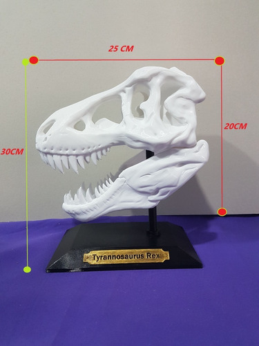 Craneo Tiranosaurio Rex Replica 25cm Lulu3d