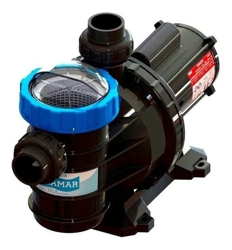 Motobomba De Piscinas Até 50 Mil Litros 1/2cv Motor Weg 127/ 127/220V