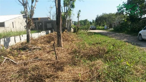 Imagem 3 de 3 de Terrenos Na Praia À Venda Em Itanhaem/sp - Compre O Seu Terrenos Na Praia Aqui! - 1409828