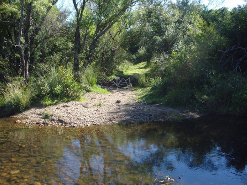 Imagen 2 de 18 de Campo 98 Has Con 2891 M2 En Carape Cuenta Con Costa De Arroyo.