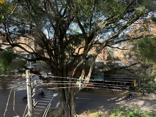 Apartamento En Venta Segundo Parque De Laureles