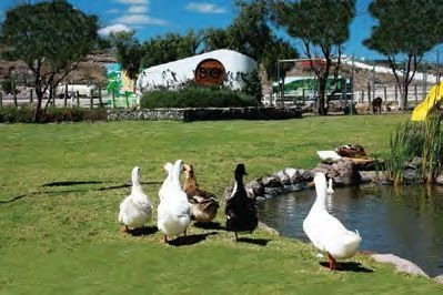 Imagen 15 de 21 de Departamento En Venta Vive Bio Preserve Juriquilla Queretaro
