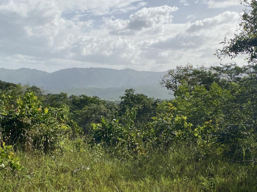 Finca De 35500 Mts Dentro Del Solar En Venta, Guataparo