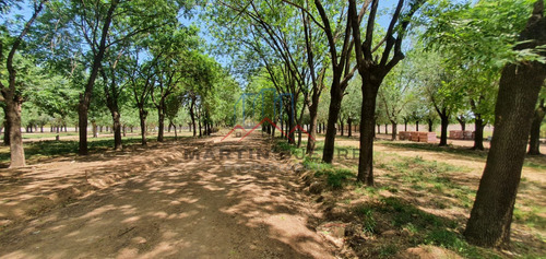 Venta Lotes Barrio Los Fresnos, Virrey Del Pino, La Matanza