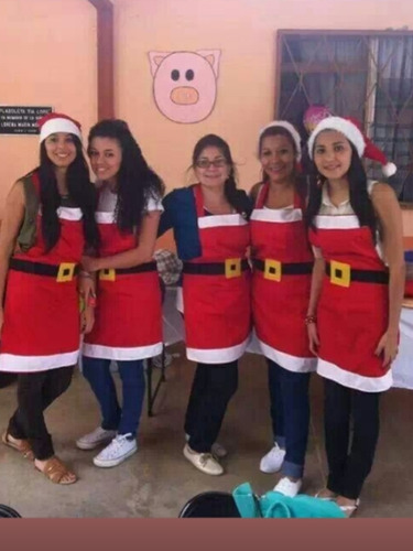 Delantal De Navidad, Santa , Maestras, 