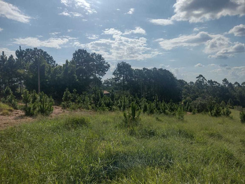 Imagem 10 de 18 de L12 Invista Em Lotes De 1000m² Em Santa Isabel!!