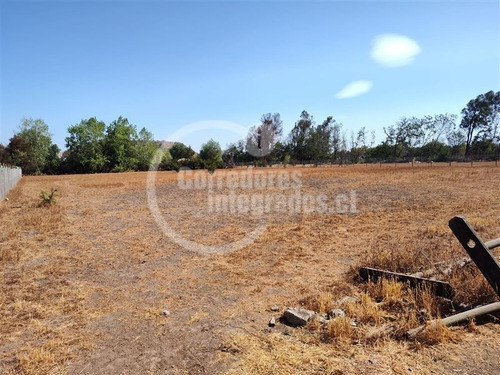 Imagen 5 de 12 de Sitio Venta San Guillermo