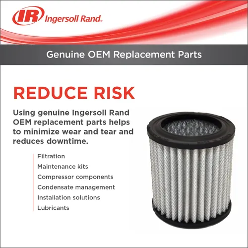 Ingersoll Rand 47669474001 Motor Oem De 5 Hp, 208-230 Voltio