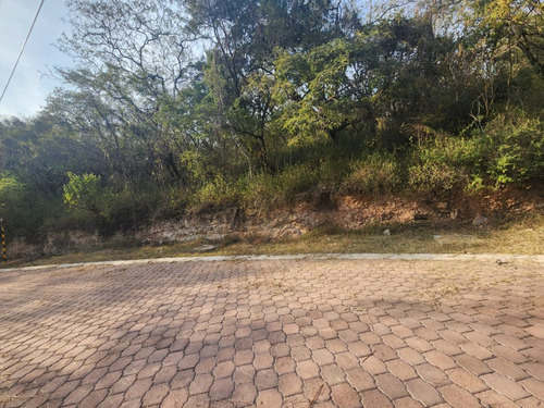 Venta Lote Gladiola 28 En Calle Privada Con Hermosas Vistas Y Todos Los Servicios En Nueva Zona De Fracc Rancho San Diego Ixtapan De La Sal Edomex