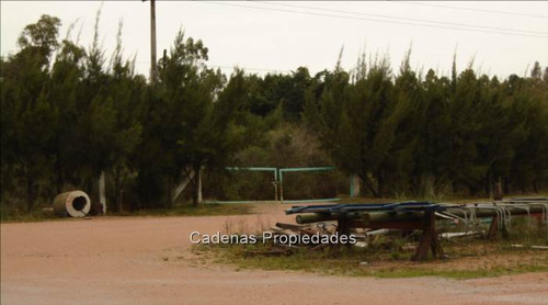 Espectacular Terreno Sobre Ruta 5, Km 18,