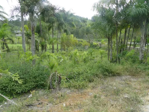Sítio De 49,7 Hectares Registro - Sp