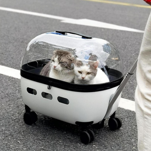 Cat Carrier With Rolling Wheels Breathable Pet Carrier Cat
