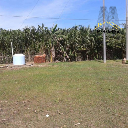 Parcela En Venta Vía Chuspa La Guaira Con Bienhechurias Y Siembra