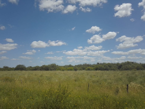 Alquiler O Venta De Campo Ganadero En La Cabral