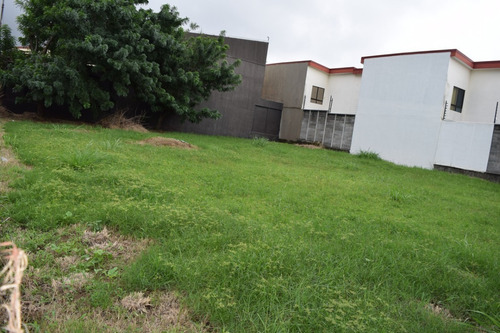 Imagen 8 de 13 de Lote 590 M2, Con 29m De Frente A Calle, Es Plano, Y Se Ubica A 500m Mas X Menos San Joaquín. Potencial Para Apartamentos