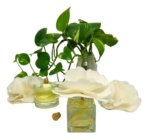 Difusor De Vidrio 100 M/l Con Esencia Y Flor De Tela Envase De Vidrio Cuadrado