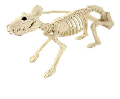 Esqueleto De Halloween, Utilería, Decoración Para Tiendas, F