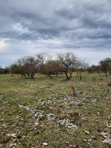 Imagen 11 de 12 de Campo En Venta, Costa Uruguay Sur 0