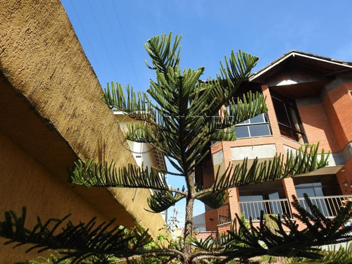 Casas - Ref: V163061