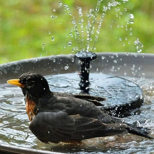 Fonte de Água Solar para Jardim, Lagos e Banheiras – Sustentável, Atrai Pássaros e Previne Água Parada – Marca Lorben