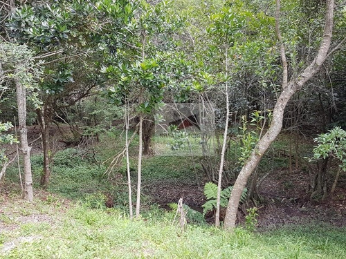 Imagem 11 de 20 de Terreno A Venda No Bairro Ingleses Do Rio Vermelho Em - 4334-1