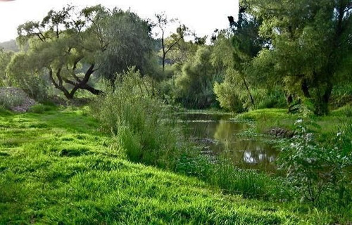 Imagen 16 de 30 de Ecovilla En Venta La Increíble Senda El Batán En San Migue