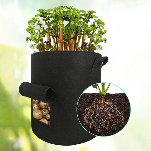 . Bolsa For Plantar Patatas Con Asas Y Ventana For Verduras