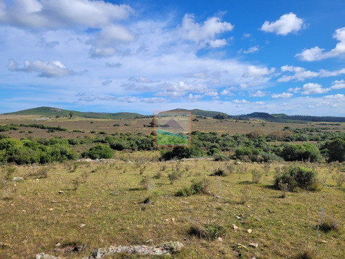 Imagen 16 de 22 de Campo Turístico 145hás En Zona De Pan De Azúcar